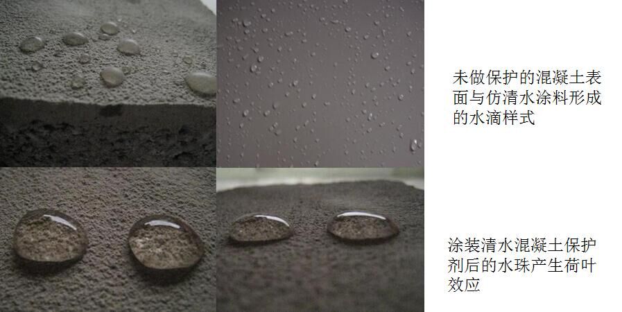 2016031250604437.jpg